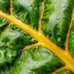 Bietole fresche con foglie e coste