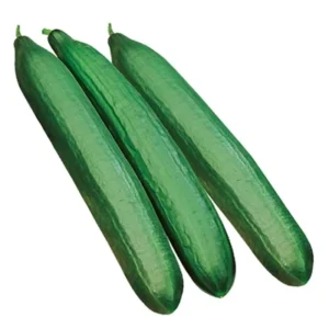 Tre cetrioli lunghi di colore verde intenso