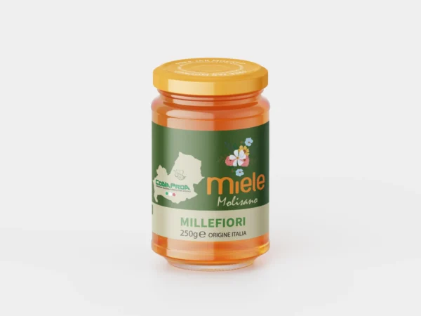 Vasetto di miele millefiori molisano CoNaProA da 250 g