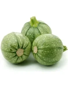 Tre zucchine tonde di colore verde chiaro